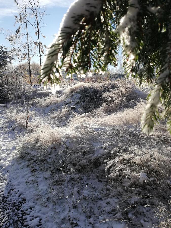 Fewo-Guglhupf mit Netflix und Boxspringbett Braunlage Exterior foto