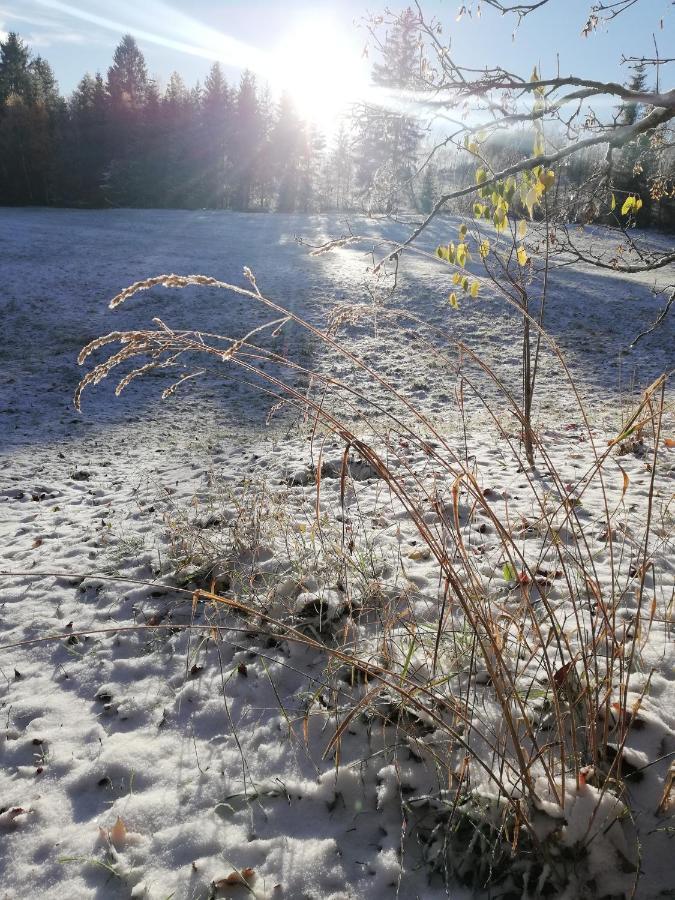 Fewo-Guglhupf mit Netflix und Boxspringbett Braunlage Exterior foto