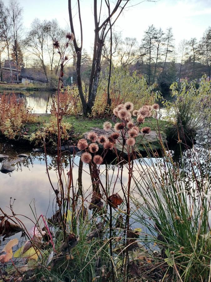 Fewo-Guglhupf mit Netflix und Boxspringbett Braunlage Exterior foto